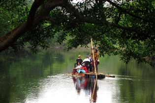 Bamboo Rafting